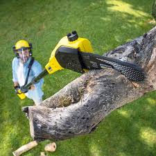 Best Lawn Watering Services  in Desnso, CA